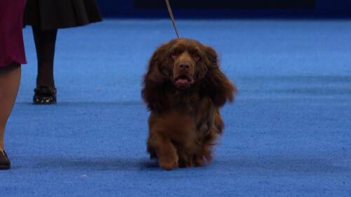 体育商业联盟管理